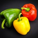 피망 이미지