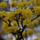 용두공원 앞 이미지