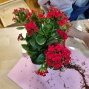 래미안어반파크어린이집 이미지