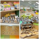 목공예(오전) | 월아산숲속의진주 무료키즈카페 목공예체험 원데이클래스 우드랜드