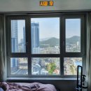 이안솔라 이미지