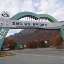 금산영월산출렁다리나들이 이미지