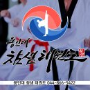 용인대 참샘 태권도 이미지