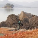 노을과 바다 이미지