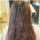 바니헤어 이미지