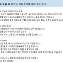 비엔나안경 이미지