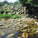 진고개계곡야영장 이미지