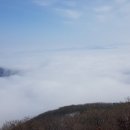 유즈하우스