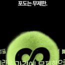 팝에서배우는 영어회화교실(기초) | [추천] 일본어회화 어플 추천! 원어민에게 전화로 배우는 포도스피킹 할인코드: qwe12rt61