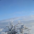 (02/11) 100대 명산 강원도 태백산(1567m) 눈꽃산행에 초대합니다~!! 이미지