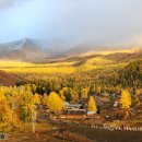 계곡속의동화 이미지