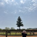 용두목장 이미지