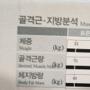 이음 핏 | 수원다이어트, 40대 몸에 충격을 주다 💥 셀포랩이음점 프리미엄 관리 후기
