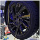 블루디젤모터스 이미지