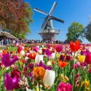 아양주공1차아파트 이미지