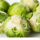 브래덤재활병원 이미지