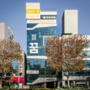 관악청년청 이미지