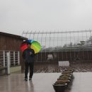 신령리신촌 이미지