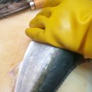 더진정성 이미지