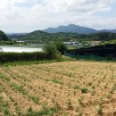 금사농장 이미지