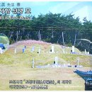장군해물손칼국수 이미지