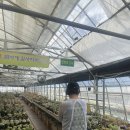 흙사랑 다육식물농원 이미지