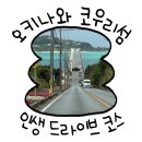 오키나와 코우리섬 여행 코스｜14개월 아기와 다녀온 북부 드라이브 후기