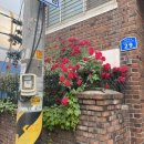 CU 합정삼거리점 이미지