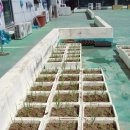 들꽃피는 이미지