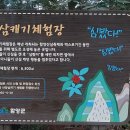 함양산삼사랑 이미지