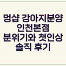 멍샵 강아지분양 인천본점 이미지