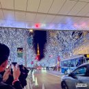 모리펫샵 | 251216 얼결에 다녀온 도쿄 짧은일정 - 도쿄여행,진보초,체인소맨성지순례,나폴리탄맛집사보루2,롯폰기...