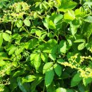 스포원파크 이미지