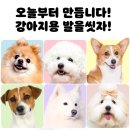 씨유 남해병원점 | 기분이 태도가 된 인간의 일상