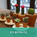 유카플라워&가든 이미지