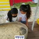 남면초등학교양덕분교장 이미지