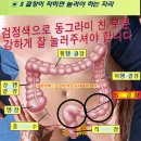 대장건강 - 대장의 S결장이 막히면 이미지