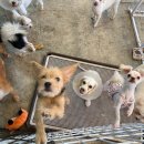 너와함개냥 이미지