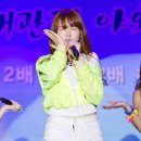 대관령야외공연장 이미지