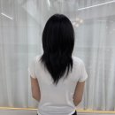 메종드부티크 속눈썹 | 거지존 탈출엔 인천 붙임머리, 메종드부티크 붙임머리 후기