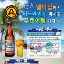 엘리팝 이미지