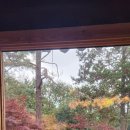 수희재한옥펜션 이미지