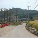 영동민박 이미지