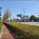 신월교(공원) Daum카페