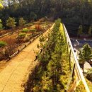 양재대로 이미지