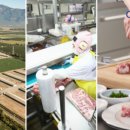 칠레포크 이미지