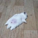 내몸N약손 이미지