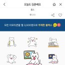 (주)미스터네이처
