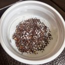 다채 | 다채 키우기 후기