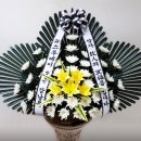티와이앤파트너스